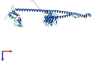 AlphaFold protein structure predicition of Mouse Recombinant Trim27 Protein, UniprotID Q62158