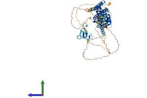 AlphaFold protein structure predicition of Human Recombinant SPATA2 Protein, UniprotID Q9UM82
