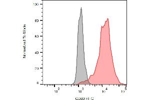 Flow cytometry analysis (surface staining) of CD80 transfected P815 cells using anti-human CD80 (MEM-233) FITC antibody (red, concentration in sample 3 μg/mL) with blank sample (grey).