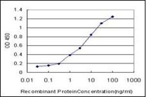 ELISA image for anti-serum/glucocorticoid Regulated Kinase 1 (SGK1) antibody (ABIN781842)