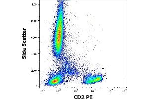 Flow cytometry surface staining pattern of human peripheral whole blood stained using anti-human CD2 (TS1/8) PE antibody (10 μL reagent / 100 μL of peripheral whole blood). (CD2 anticorps  (PE))