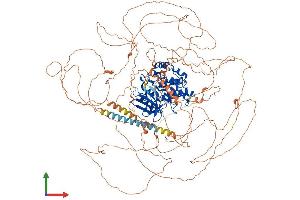 AlphaFold protein structure predicition of Human Recombinant TTBK1 Protein, UniprotID Q5TCY1