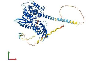 AlphaFold protein structure predicition of Human Recombinant PXK Protein, UniprotID Q7Z7A4