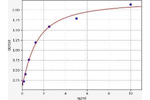 Typical standard curve