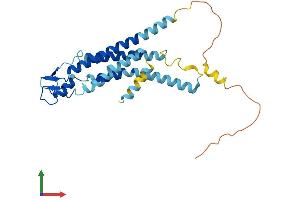 AlphaFold protein structure predicition of Human Recombinant GJB3 Protein, UniprotID O75712
