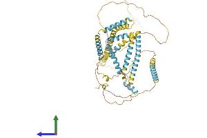 AlphaFold protein structure predicition of Human Recombinant RETREG1 Protein, UniprotID Q9H6L5