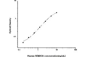 Typical standard curve