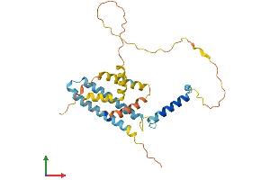 AlphaFold protein structure predicition of Human Recombinant CCDC28A Protein, UniprotID Q8IWP9