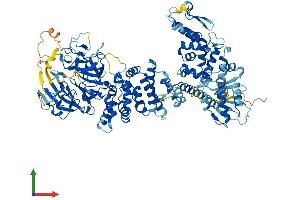 AlphaFold protein structure predicition of Human Recombinant HERC6 Protein, UniprotID Q8IVU3