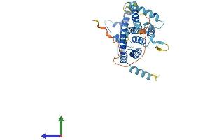 AlphaFold protein structure predicition of Human Recombinant TMEM115 Protein, UniprotID Q12893