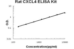 Rat CXCL4 PicoKine ELISA Kit standard curve (PF4 Kit ELISA)