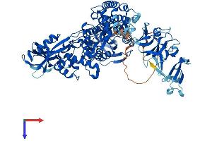 AlphaFold protein structure predicition of Mouse Recombinant Top3b Protein, UniprotID Q9Z321