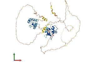 AlphaFold protein structure predicition of Mouse Recombinant Erg Protein, UniprotID P81270