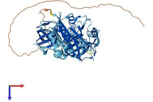 AlphaFold protein structure predicition of Human Recombinant GSPT1 Protein, UniprotID P15170