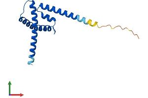 AlphaFold protein structure predicition of Human Recombinant CENPS Protein, UniprotID Q8N2Z9