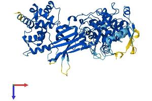 AlphaFold protein structure predicition of Mouse Recombinant Plcz1 Protein, UniprotID Q8K4D7