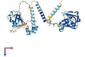 AlphaFold protein structure predicition of Human Recombinant DDI2 Protein, UniprotID Q5TDH0