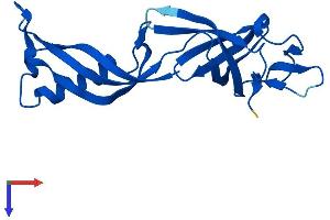 AlphaFold protein structure predicition of Human Recombinant POLR2G Protein, UniprotID P62487