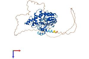 AlphaFold protein structure predicition of Mouse Recombinant Glyr1 Protein, UniprotID Q922P9