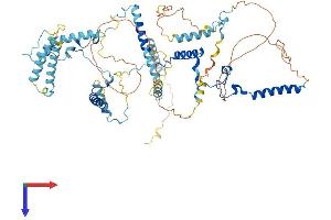 AlphaFold protein structure predicition of Mouse Recombinant Mphosph10 Protein, UniprotID Q810V0