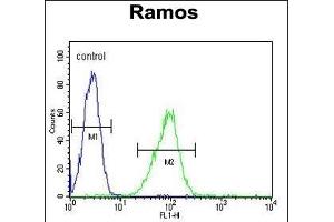 HIP1R Antibody (N-term) (ABIN655061 and ABIN2844690) flow cytometric analysis of Ramos cells (right histogram) compared to a negative control cell (left histogram). (HIP1R anticorps  (N-Term))