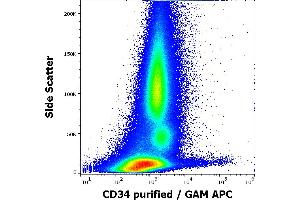 Flow cytometry surface staining pattern of human peripheral whole blood stained using anti-human CD34 (QBEnd-10) purified antibody (concentration in sample 0,6 μg/mL, GAM APC). (CD34 anticorps)