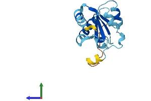 AlphaFold protein structure predicition of Human Recombinant NHP2 Protein, UniprotID Q9NX24