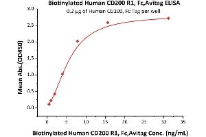 Immobilized Human CD200, Fc Tag (ABIN2180725,ABIN2180724) at 2 μg/mL (100 μL/well) can bind Biotinylated Human CD200 R1, Fc,Avitag (ABIN5674587,ABIN6253680) with a linear range of 0.