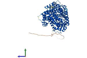 AlphaFold protein structure predicition of Mouse Recombinant Ece1 Protein, UniprotID Q4PZA2