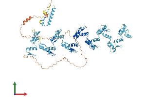 AlphaFold protein structure predicition of Human Recombinant ZNF615 Protein, UniprotID Q8N8J6