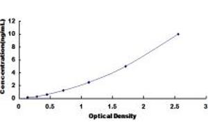Typical standard curve (SDHB Kit ELISA)