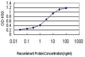 Detection limit for recombinant GST tagged PLCL2 is approximately 0. (PLCL2 anticorps  (AA 121-210))