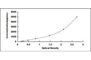 Typical standard curve (BST1 Kit ELISA)