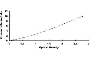 Typical standard curve (CXCR7 Kit ELISA)