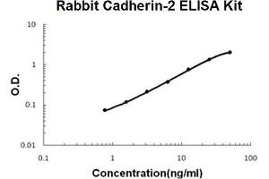 Rabbit Cadherin-2/N-Cadherin PicoKine ELISA Kit standard curve (N-Cadherin Kit ELISA)