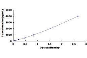 ELISA image for Apolipoprotein B (APOB) ELISA Kit (ABIN415863)