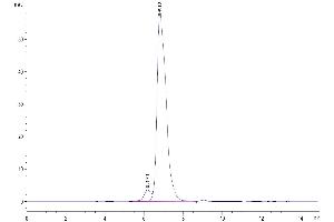 The purity of Biotinylated Human HLA-G Complex Tetramer is greater than 95 % as determined by SEC-HPLC.