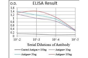 Black line: Control Antigen (100 ng), Purple line: Antigen(10 ng), Blue line: Antigen (50 ng), Red line: Antigen (100 ng),