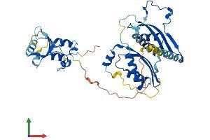 AlphaFold protein structure predicition of Human Recombinant SMARCB1 Protein, UniprotID Q12824