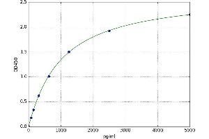 Interleukin 15 Receptor, alpha (IL15RA) ELISA Kit