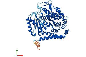 AlphaFold protein structure predicition of Human Recombinant TUBB8 Protein, UniprotID Q3ZCM7