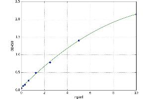 Caspase 2, Apoptosis-Related Cysteine Peptidase (CASP2) ELISA Kit