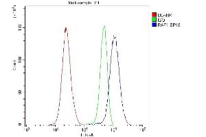 Flow Cytometry analysis of HeLa cells using anti-Raf1 antibody (ABIN5518949).