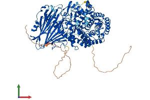 AlphaFold protein structure predicition of Mouse Recombinant Gba2 Protein, UniprotID Q69ZF3