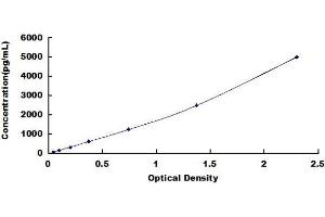 Typical standard curve