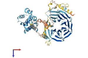 AlphaFold protein structure predicition of Human Recombinant TAF5L Protein, UniprotID O75529