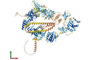 AlphaFold protein structure predicition of Human Recombinant ERVK-7 Protein, UniprotID P63135