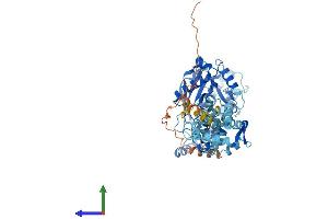 AlphaFold protein structure predicition of Mouse Recombinant Lpcat2 Protein, UniprotID Q8BYI6