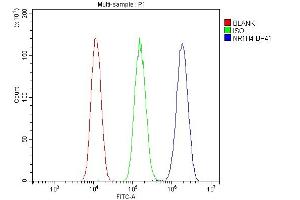 Flow Cytometry analysis of A549 cells using anti- NR1H4 antibody (ABIN5518940).
