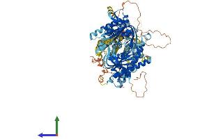 AlphaFold protein structure predicition of Human Recombinant ADCY3 Protein, UniprotID O60266